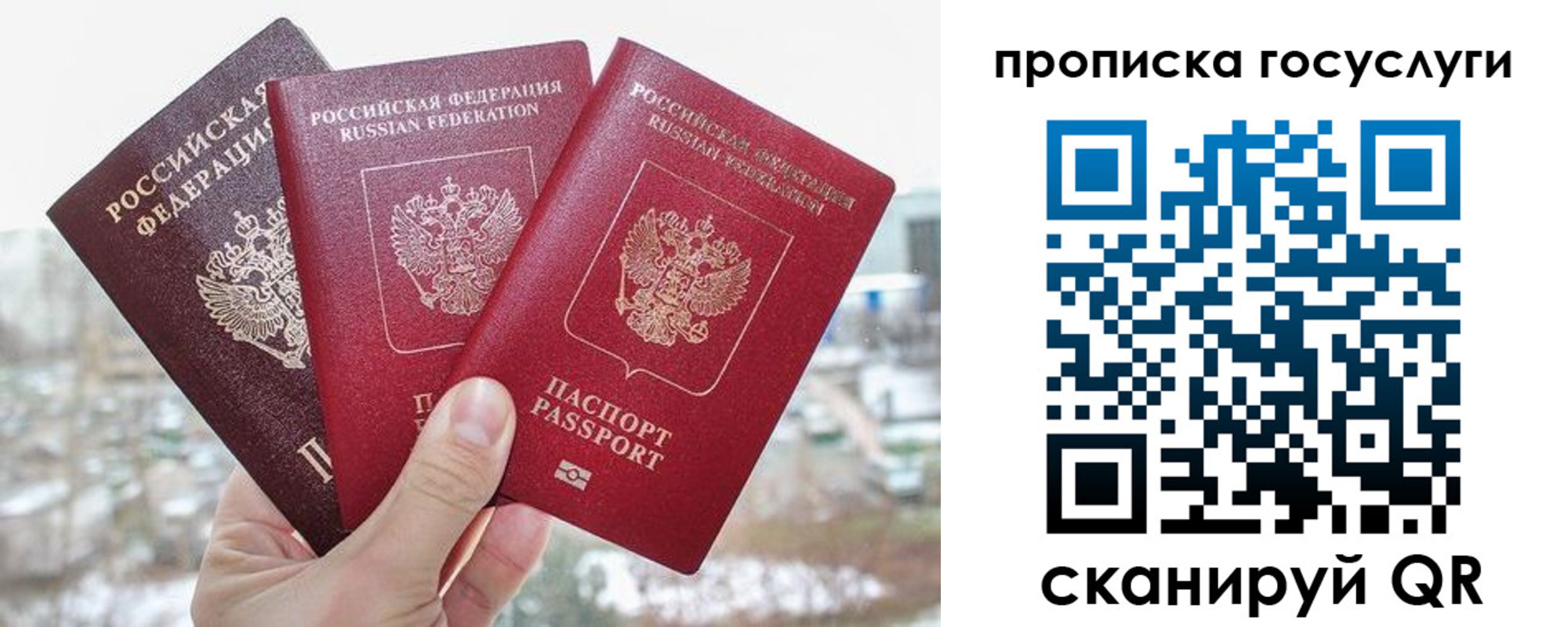 прописка законно в Благодарном